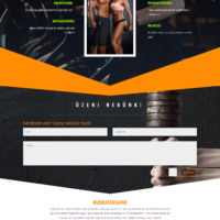 KTS Online weoldal készítés győr referencia