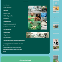 KTS Online weoldal készítés győr referencia