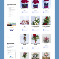 KTS Online weoldal készítés győr referencia