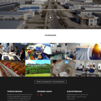 KTS Online weoldal készítés győr referencia