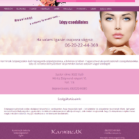 KTS Online weoldal készítés győr referencia