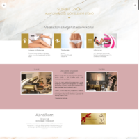 KTS Online weoldal készítés győr referencia